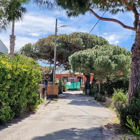 La Capte T2, A 2min De La Mer, Terrasse-wifi-parking Gratuit * Hyères